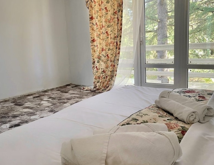 2-местное станд. с конд. - Пансионат «Лагуна» Гечрипш